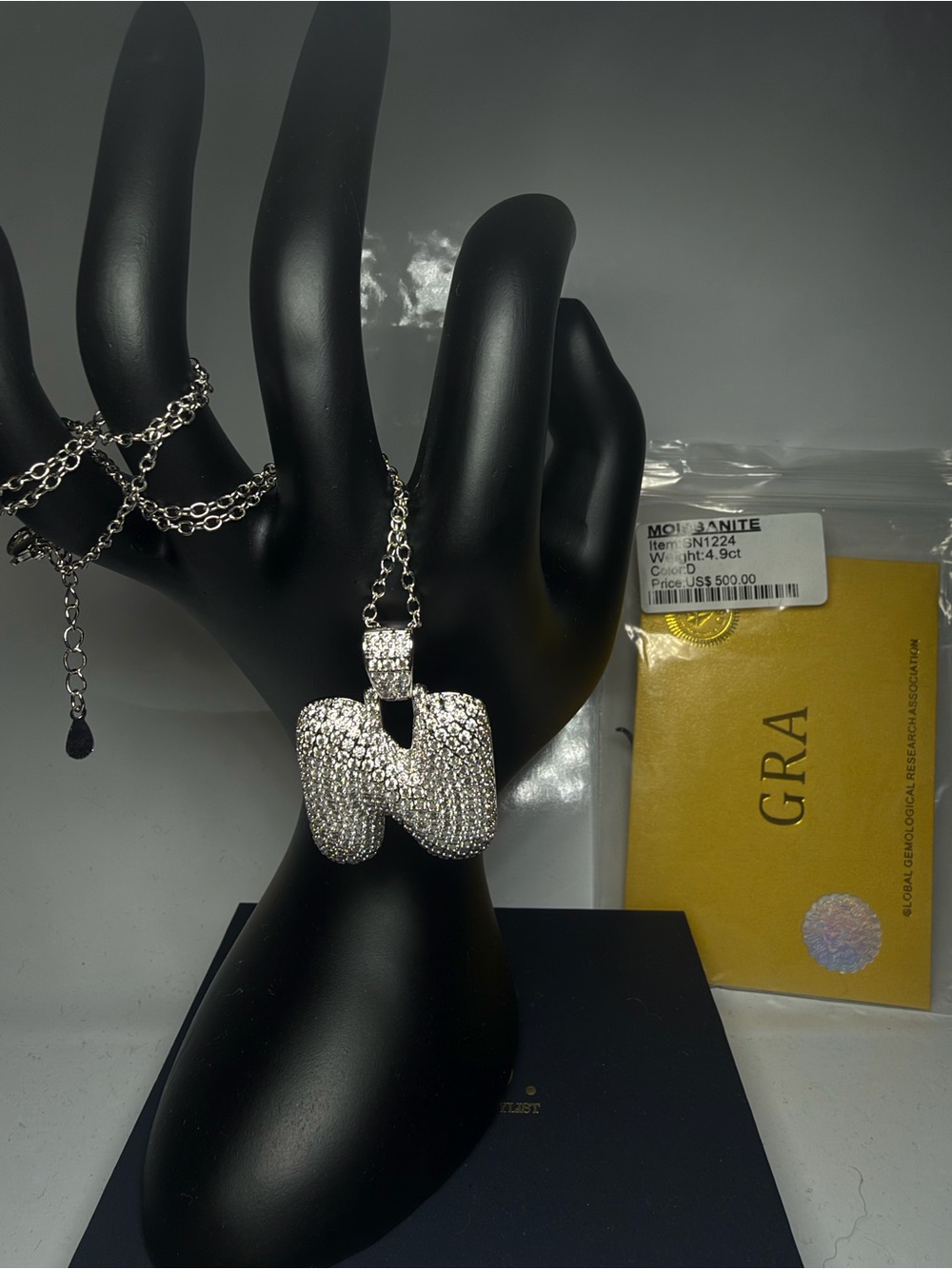 Pave Crystal 'N' Pendant Necklace in Silver